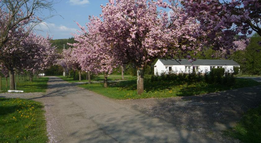 Отель Motel Le Brissoneau
