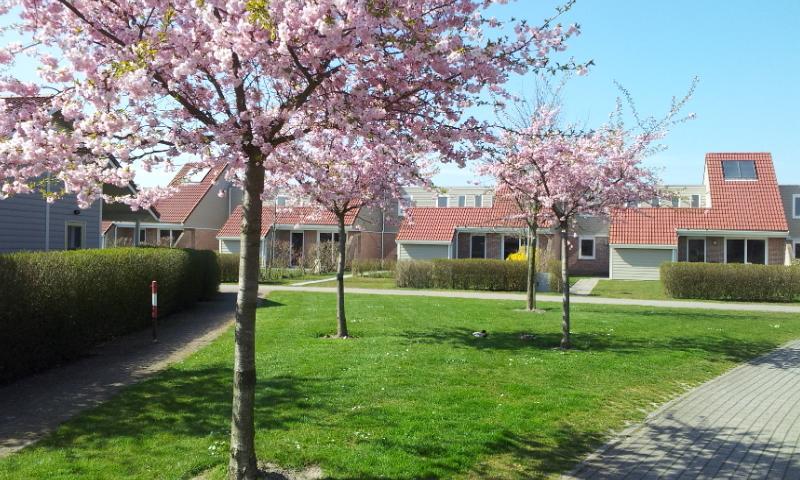 Отель Villapark de Paardekreek