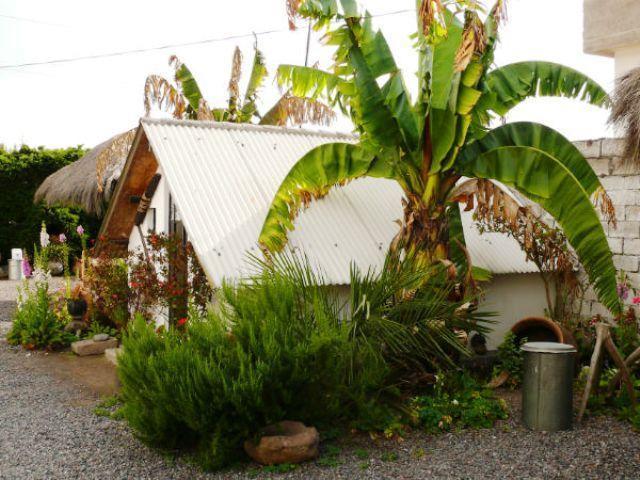 Отель Cabañas Los Volcanes