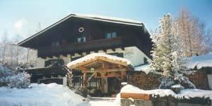 Отель Alpenhof
