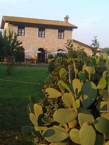 Мини-отель Bed & Breakfast Flora