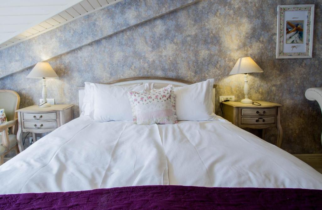Отель Hotel Dragului