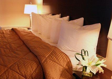 Отель Comfort Inn & Suites Ambassador Bridge