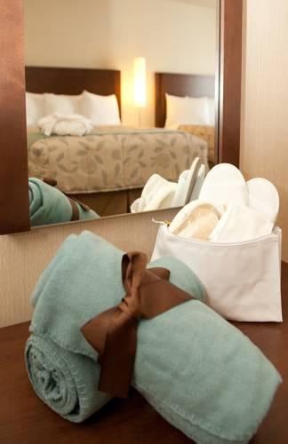 Отель Excelsior Hotel Spa Villegiature