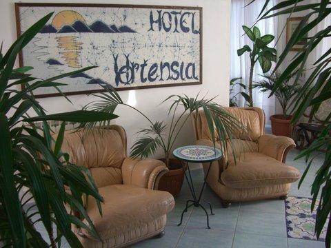 Отель Hotel Ortensia