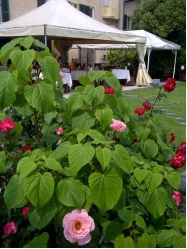 Отель Albergo Ristorante La Ripa