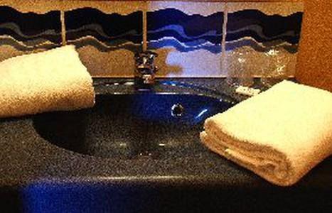 Отель Hotel Altica Sarlat