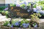 Отель Hotel Pegasus