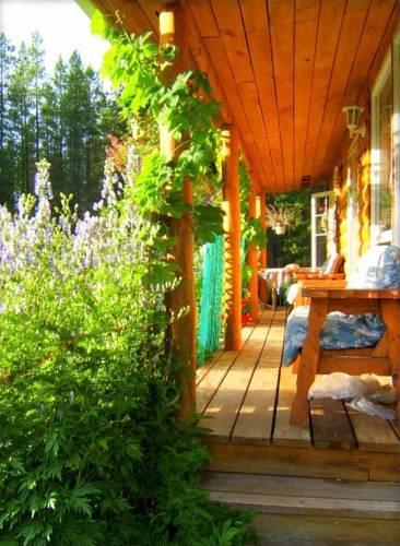 Отель Teepee Meadows Guest Cottages
