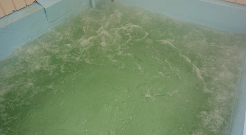 Lakefront Motor Lodge Thermal Spa