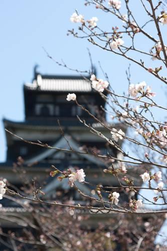 Отель Hotel Park Side Hiroshima Peace Park