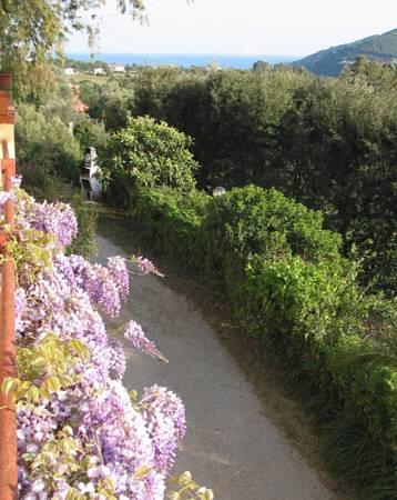 Отель Appartamenti Lacona