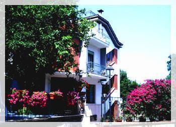 Отель Hotel Angelina
