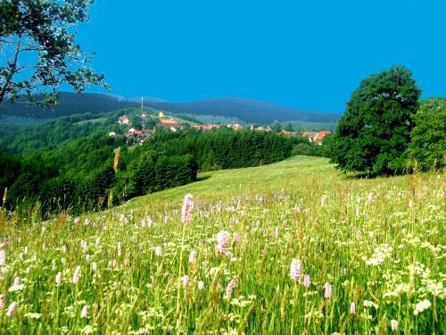 Гостевой дом Mein Vierjahreszeiten Hotel Garni