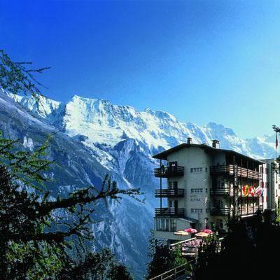 Отель Hotel Alpina