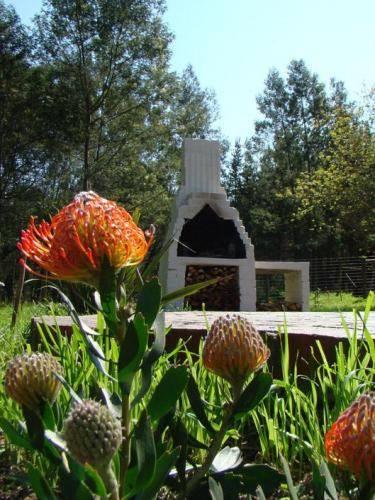 Отель Bella Manga Country House