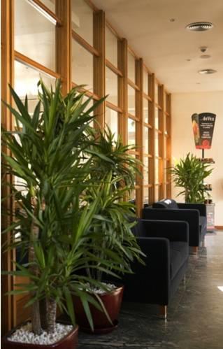 Отель Hotel Ribeira