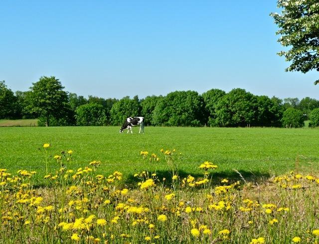 Отель Woodbrooke Barchem