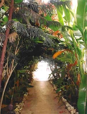 Beach House Villas Negril