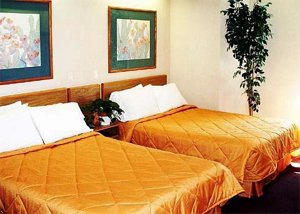 Отель Sleep Inn - Mesa