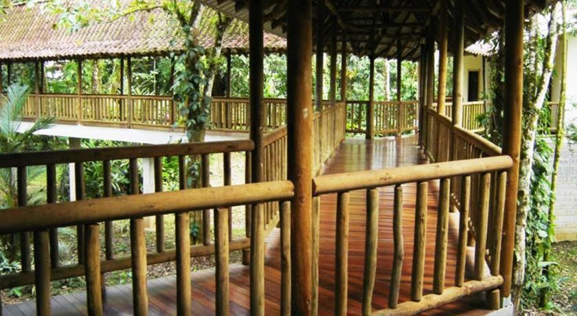 Отель Hotel El Bambu