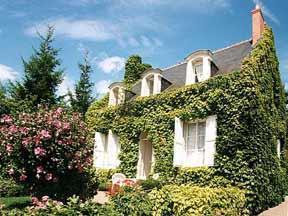 Отель Auberge du Bon Laboureur