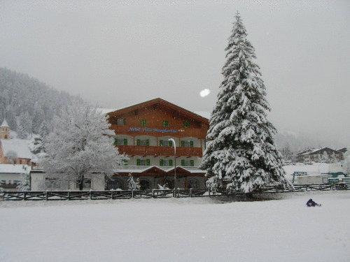 Отель Hotel Villa Margherita