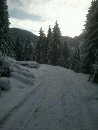 Гостевой дом Pension Alpenstern