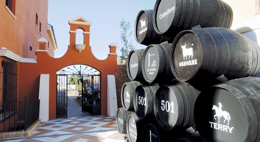 Отель Hotel Los Jandalos Vistahermosa & Spa