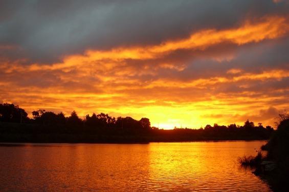 Отель Whanganui River Top 10 Holiday Park