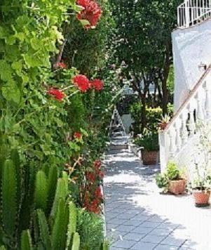 Отель Hotel Casa Mazzella