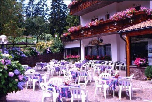Отель Hotel Pineta