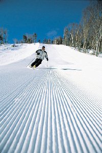 Отель The Lodge at Bretton Woods