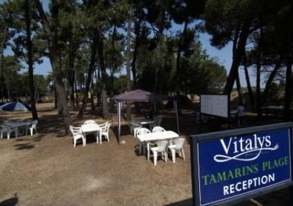 Отель Domaine Résidentiel de Plein-Air Les Tamarins