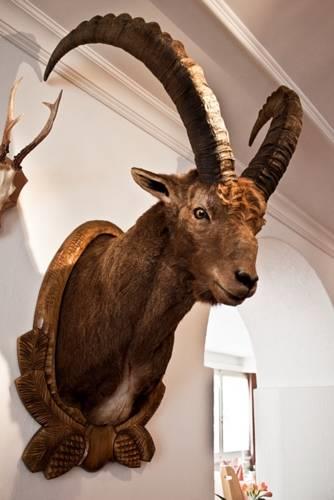 Отель Hotel Albula