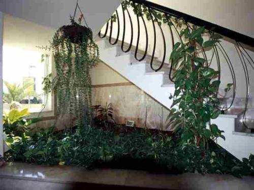 Отель Hotel Sao Lourenco