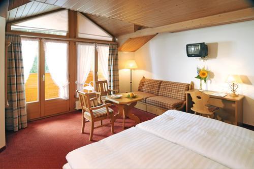 Отель Hotel Adler
