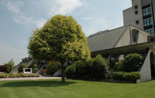 Отель Hotel Cavallino