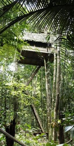 Отель Reserva Natural Tanimboca