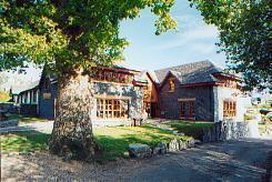 Отель Oak Tree Inn