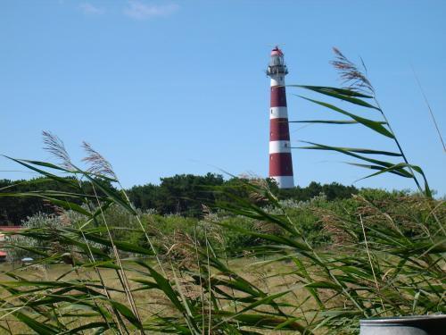 Отель de Walvisvaarder van Ameland