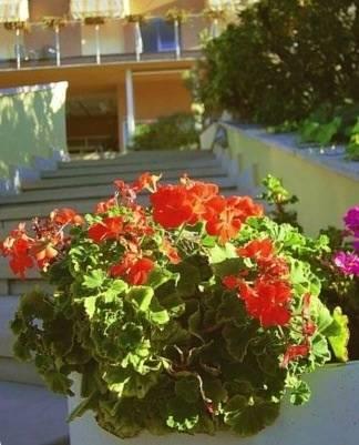 Отель Hotel Astoria