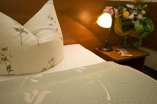 Отель Hotel Vestina SPA & Wellness