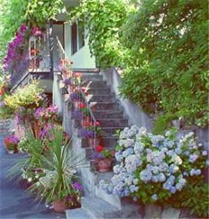 Отель Cherry Tree Inn