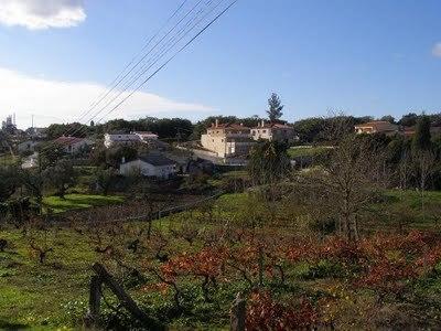 Гостевой дом Casa Vale Do Rei