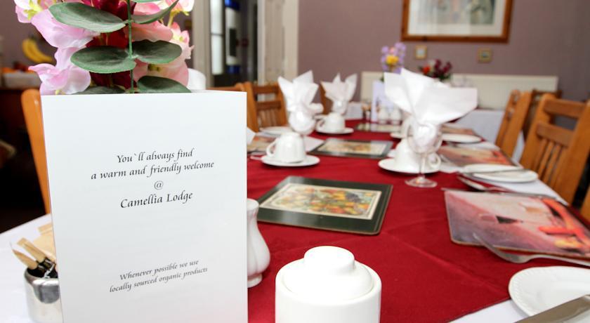 Мини-отель Camellia Lodge Guest House
