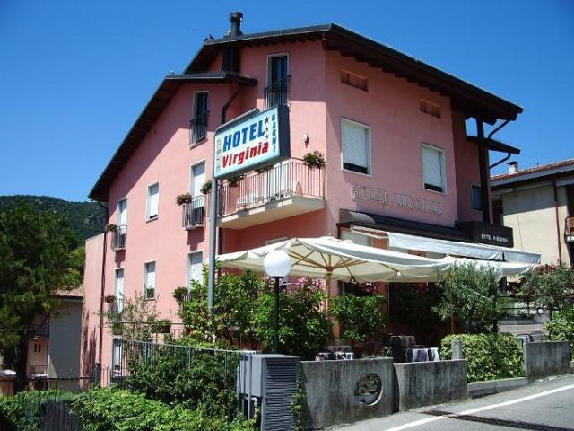 Отель Hotel Virginia