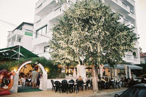Отель Hotel Levteri
