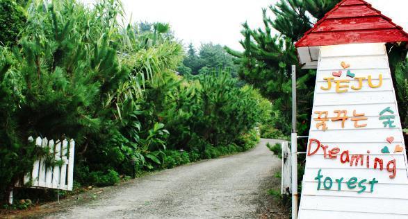 Dreaming Forest Pension Seogwipo