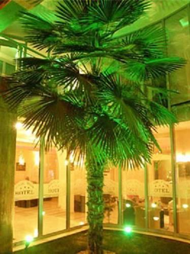 Отель Magic Palm Hotel